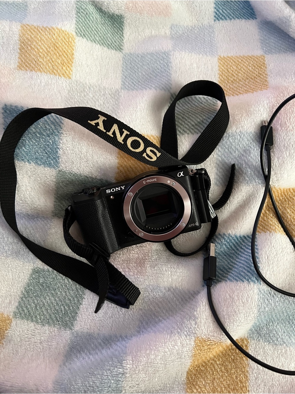Sony Black Mirrorless Camera Body with Black Neck Strap